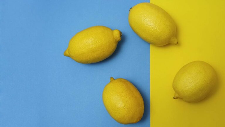 four cars most likely to be lemons 2022